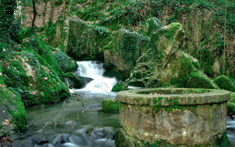 La randonnée des sources de Gravigny : Retour aux origines